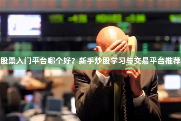 股票入门平台哪个好？新手炒股学习与交易平台推荐